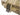NP XL Hard Case - Tan (PnP)-Nuprol-