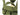Chest Rig - 7 pockets - OLIVE-Condor-