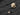 Night Evolution Princeton Tec MPLS ( Dark Earth / White )-Night Evolution-