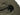 Sleeping bag Defence 1-CARINTHIA-