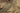 Sleeping bag Tropen - SAND-CARINTHIA-