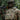 M-Tac Patch Operator Patch M-Tac