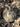 KMCS Pack cover (small) with 3D leafs - Dark Forest-Kicking Mustang-