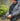 HELIKON RANGEMAN Shooting Gloves - Black-HELIKON-