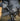HELIKON RANGEMAN Shooting Gloves - Coyote-HELIKON-