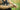 HELIKON All Round Fit Tactical Gloves - Coyote/Adaptive Green-HELIKON-