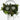 KMCS Goggle Crafting Pack - Green-Kicking Mustang-