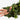 KMCS Cloak with Next Gen Leaf Strips - Green-Kicking Mustang-