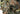 Cappello Invader Gear Leaf Boonie Hat — Flecktarn