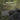 OLIGHT Osight S Red Dot Sight - Green OLIGHT,