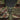 Novritsch Tactical Vest 1.0 - Everglade NOVRITSCH,