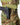 Novritsch EDC Tactical MOLLE Belt - ACP NOVRITSCH,