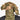 KMCS Mitznefet with 3D Leaves - Next-Gen Brown-Kicking Mustang-