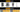 Fondina OWB Gun Flower Colt 1911 / M1911, mano destra — Nero