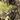 LLCS 3D Baseball Cap-Viper Tactical-