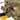 C3 Expert Backpanel-Conquer Tactical-