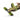 FMA QH Application Tourniquet - AOR 2-FMA-