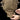 Groundhog Backpack - Nylon - Coyote-HELIKON-