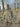 KMCS Complete Ghillie Suit for Crafting - Woodland Floor-Kicking Mustang-