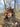 KMCS Mitznefet / Floppy hat with 3D leafs - Dark Forest-Kicking Mustang-