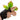 Leaf Camo – LC5 - Willow-NOVRITSCH-