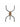 Microlight Nite Ize Buglit - Coyote Black-NITE IZE-
