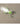 Microlight Nite Ize BugLit - Lime Black-NITE IZE-