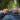 Nite Ize Dual CamJam Webbing Tensioner-NITE IZE-