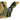 Novritsch Chest Rig MINIMAL - ACP-NOVRITSCH-