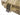 NP XL Hard Case - Tan (Wave)-Nuprol-
