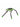 Rechargeable Microlight Nite Ize BugLit - Lime Black-NITE IZE-