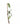 Rechargeable Microlight Nite Ize BugLit - Lime Black-NITE IZE-