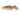 Elastici CLAWGEAR Rubber Bands Micro 12 pcs — Tan