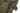 Sleeping bag Wilderness (Right Zipper) - UNI size-CARINTHIA-