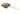 DBAL-A2, polymer body, Green Laser - DE-WADSN-