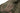 Sleeping bag Tropen - OD-CARINTHIA-