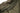 Sleeping bag Tropen - OD-CARINTHIA-