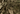 Bolero ghillie Invader Gear Sniper Ghillie Leaf Bolero — Everglade