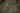 Sleeping bag DEFENCE 4-CARINTHIA-