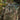M-Tac Patch Tactical Girl #4 PVC Patch M-Tac