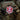 M-Tac patch Paramedic Ursus (PVC) Patch M-Tac