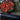 M-Tac Patch Red Beard Black Patch M-Tac