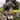 EBERLESTOCK RECON MODULAR SMALL Bino Pack - MultiCam(R)-EBERLESTOCK-