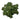 KMCS Tie Leafs - Green-Kicking Mustang-