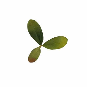 Foglie mimetiche NOVRITSCH Leaf Camo LC2 — Emerald-NOVRITSCH-